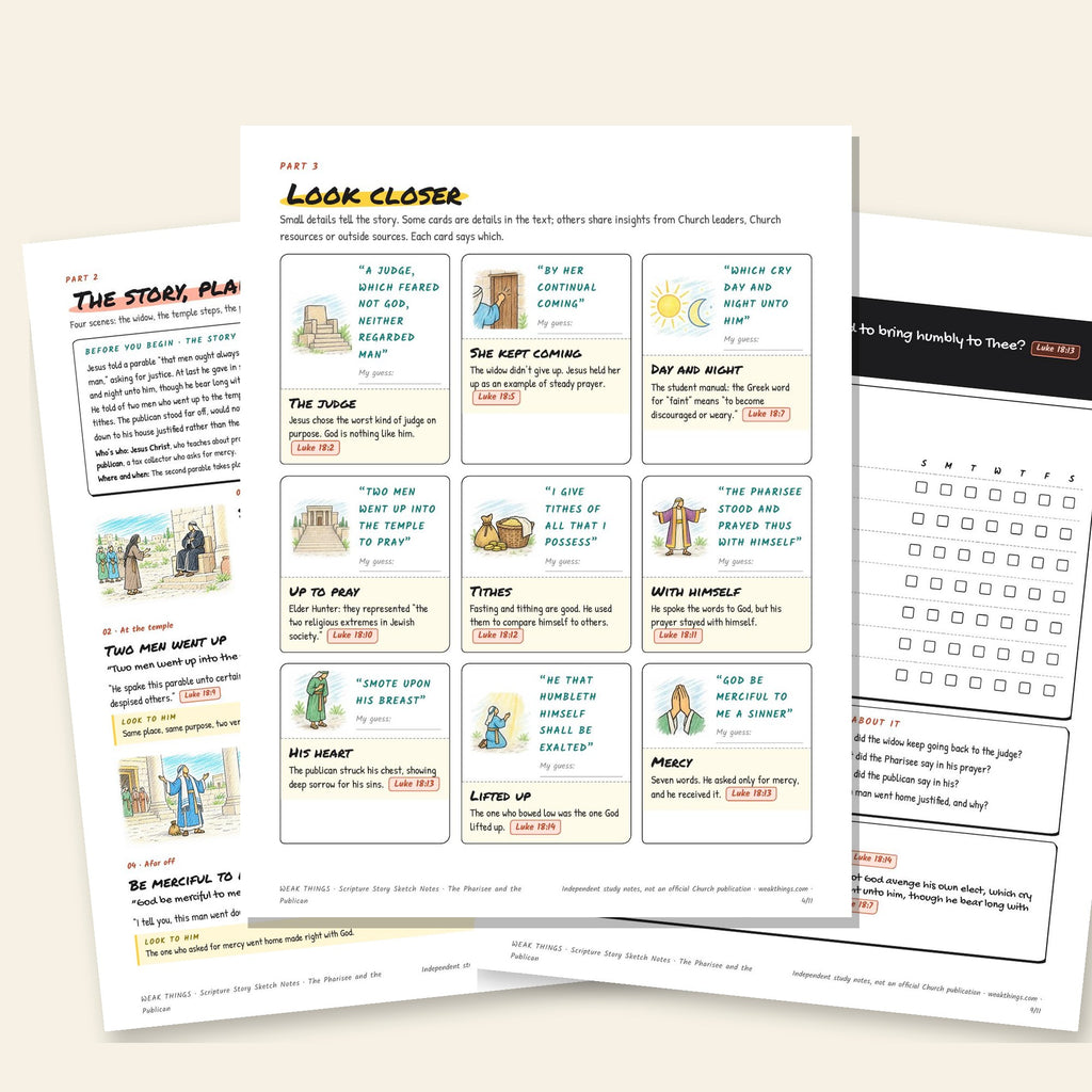Three inside pages: the story, the detail cards and the seven-day tracker