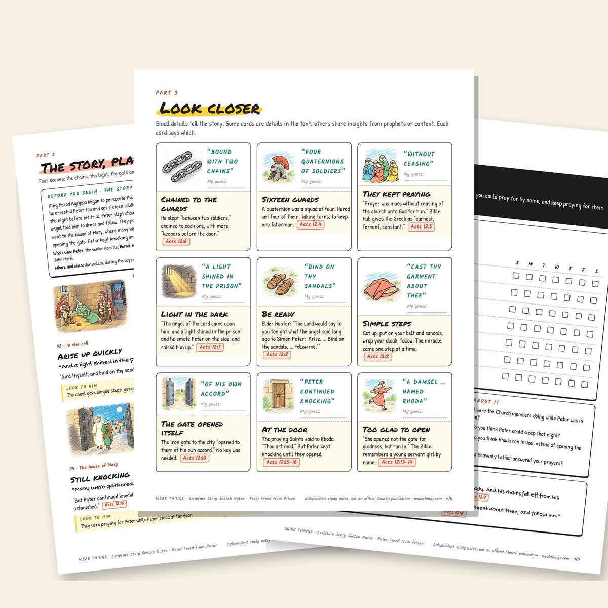 Three inside pages: the story, the detail cards and the seven-day tracker
