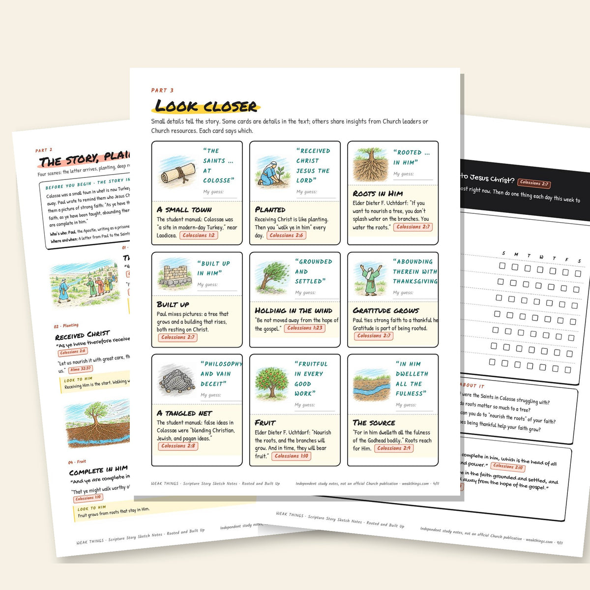 Three inside pages: the story, the detail cards and the seven-day tracker