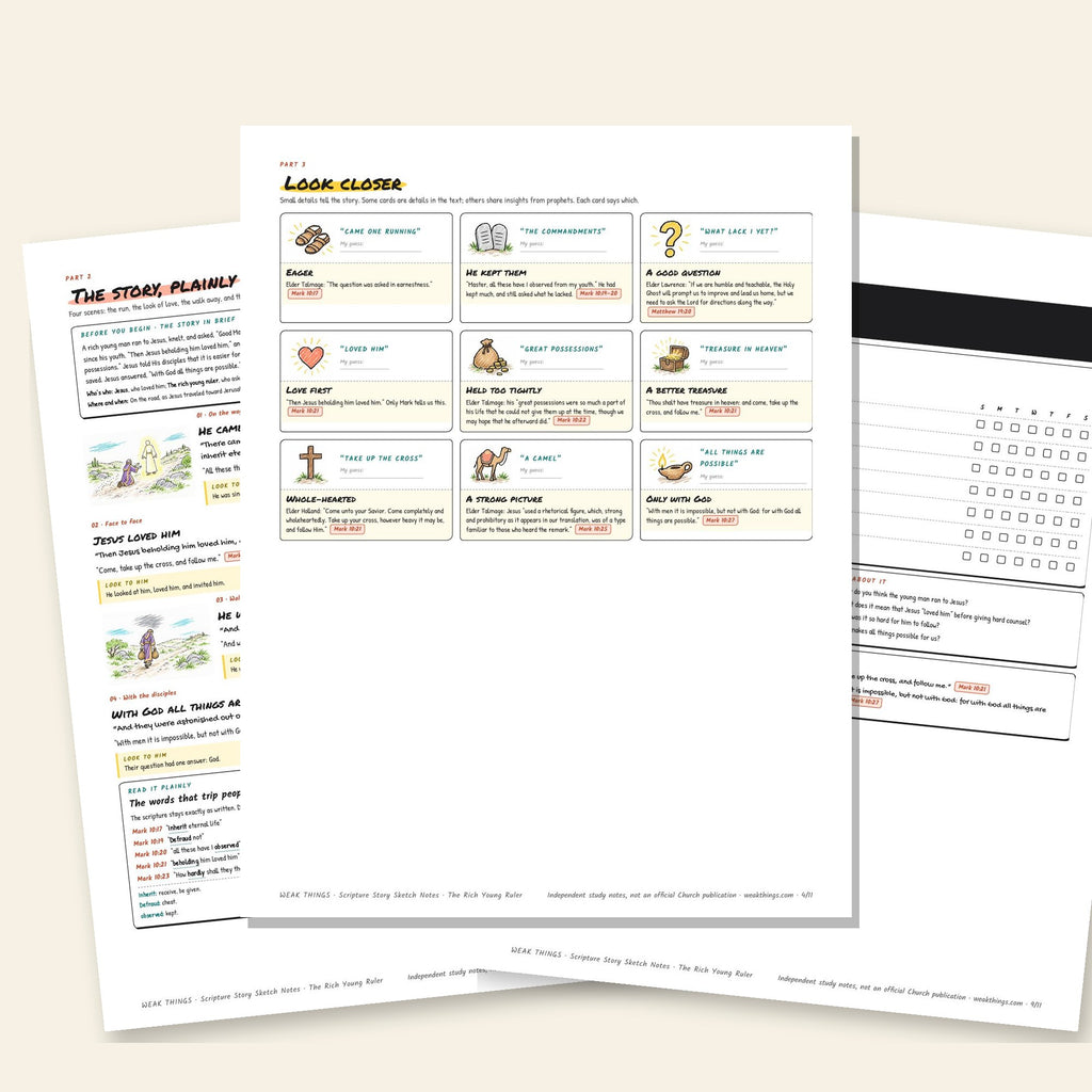 Three inside pages: the story, the detail cards and the seven-day tracker
