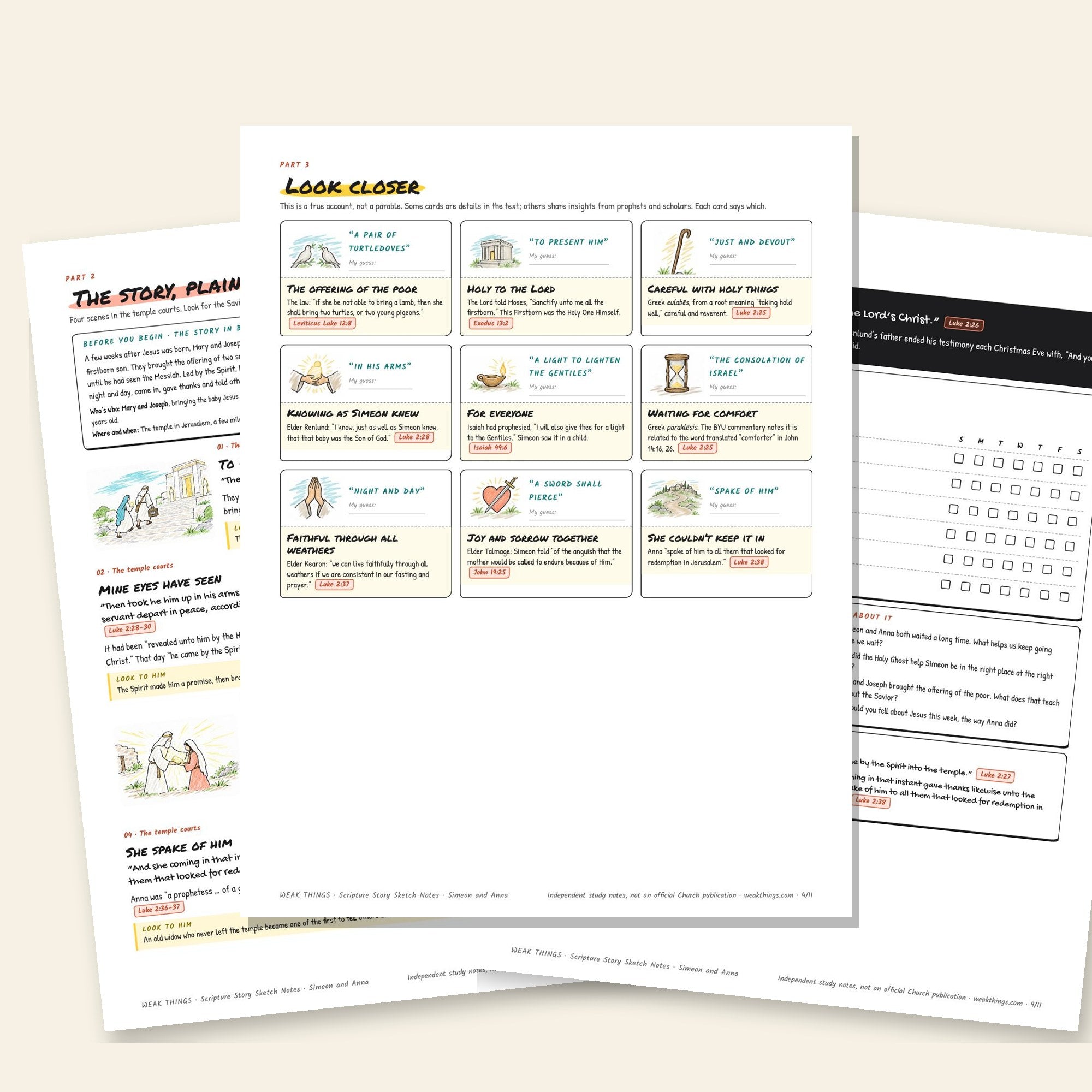 Inside pages of the Simeon and Anna printable sketch notes