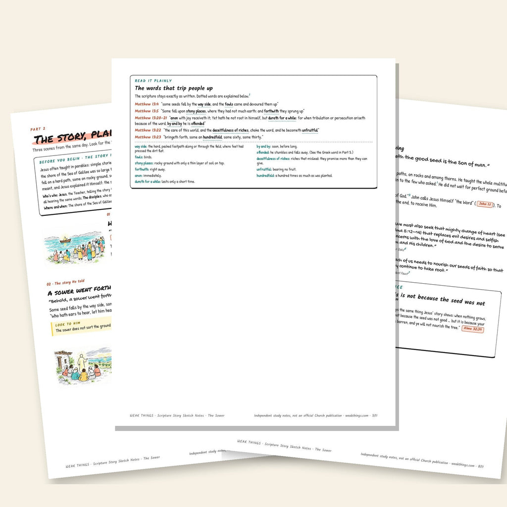 Three inside pages: the story, Jesus’ explanation cards and the seven-day tracker