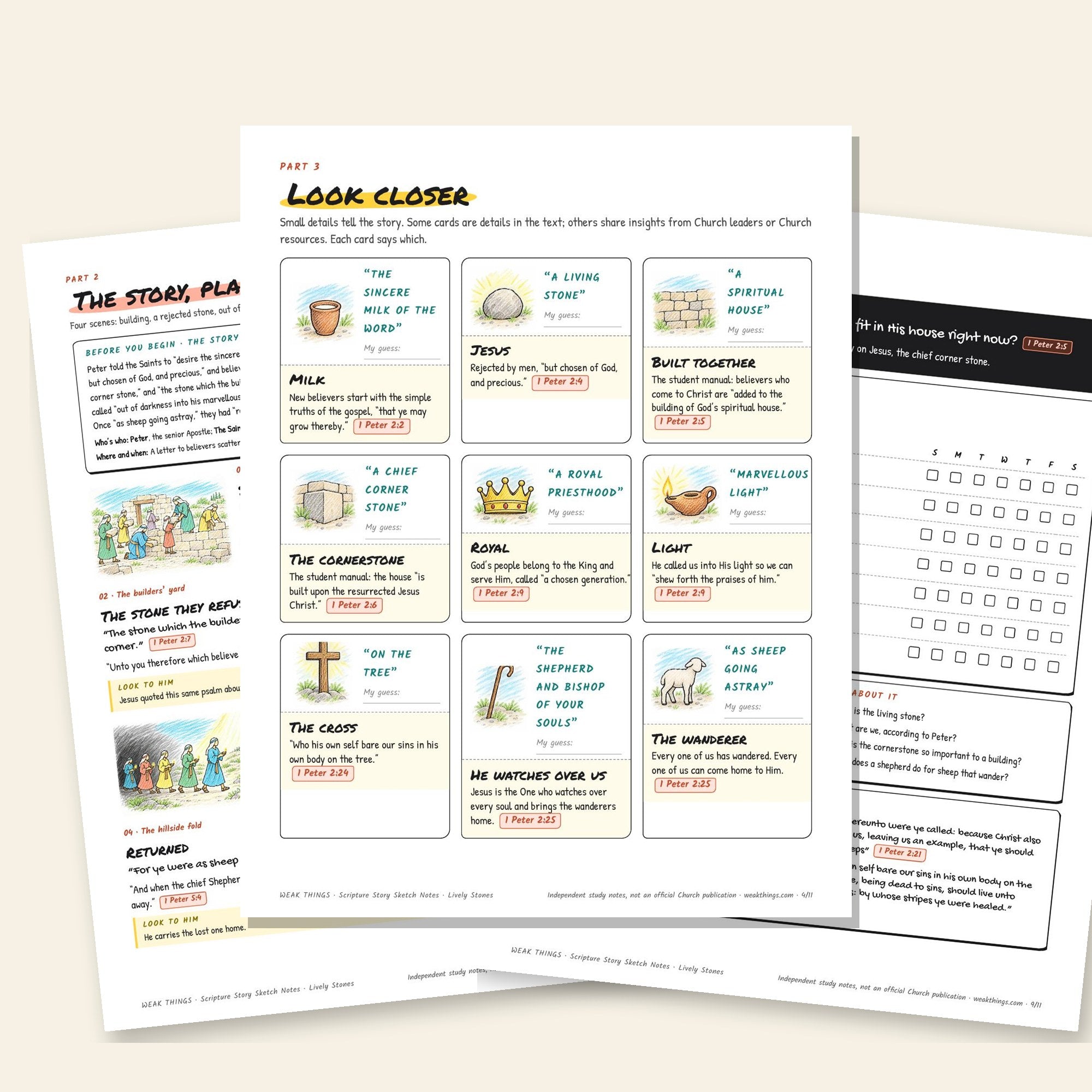 Inside pages of the Lively Stones printable sketch notes
