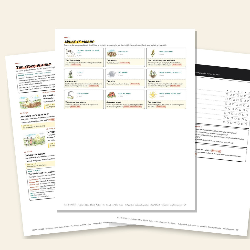 Three inside pages: the story, the meaning cards and the seven-day tracker