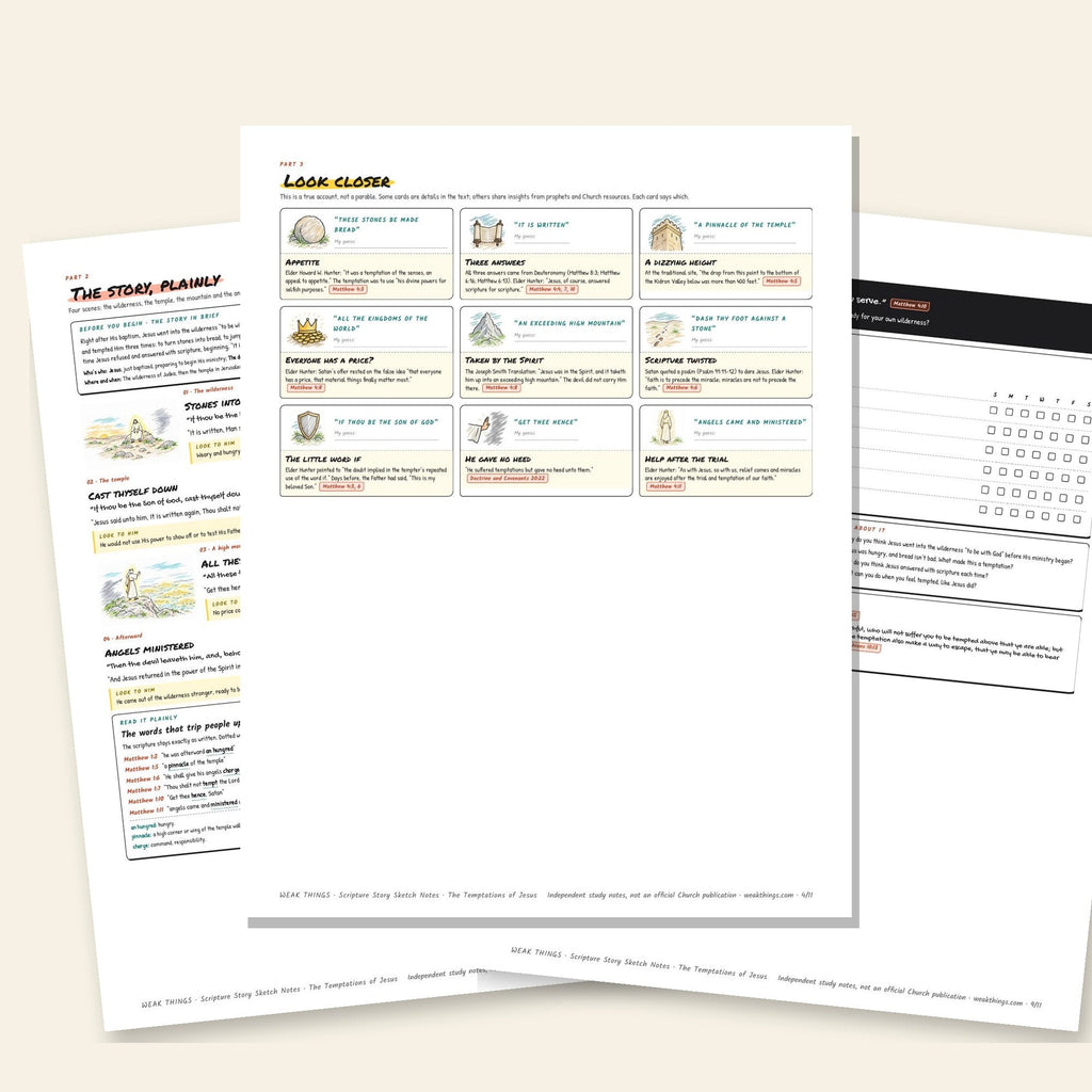 Three inside pages: the story, the detail cards and the seven-day tracker