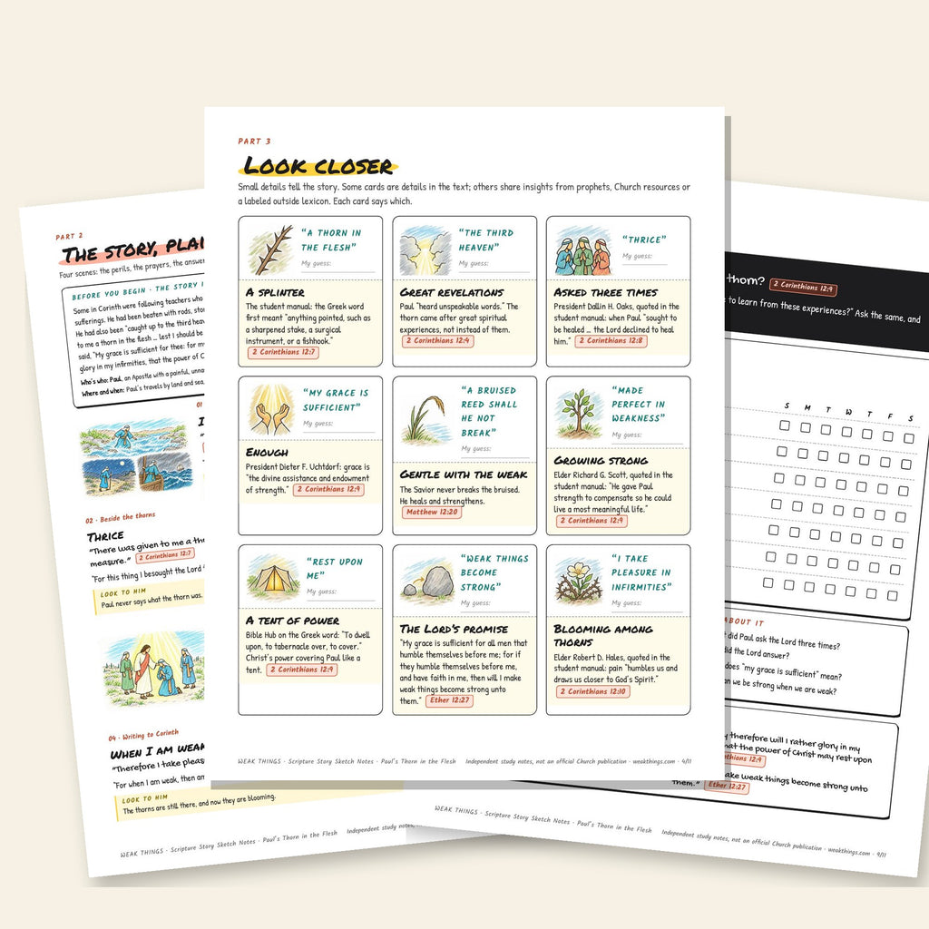 Three inside pages: the story, the detail cards and the seven-day tracker