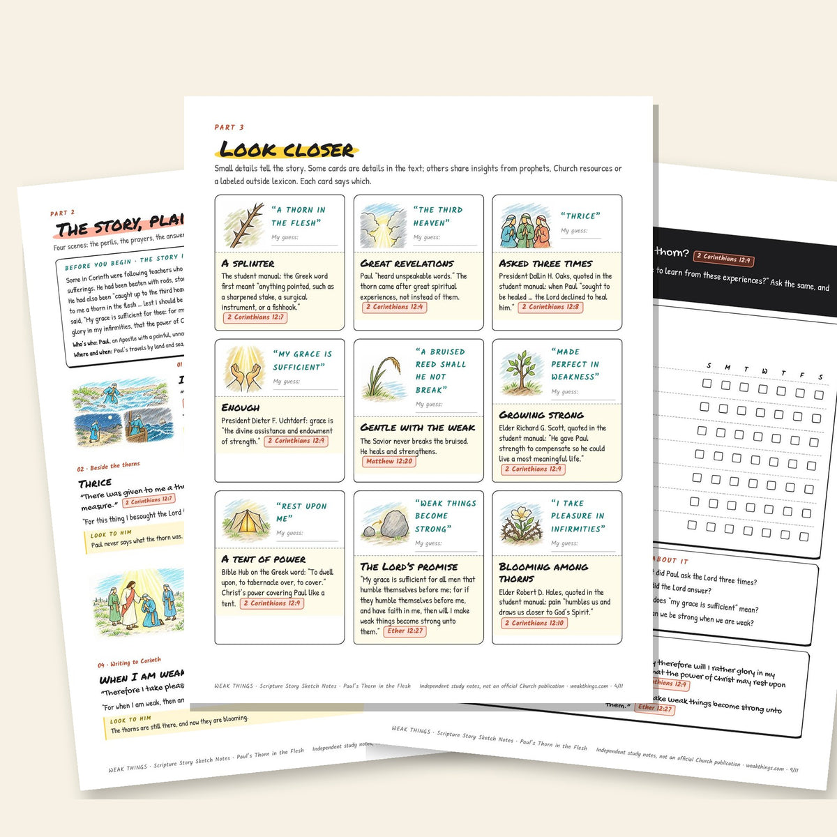 Three inside pages: the story, the detail cards and the seven-day tracker