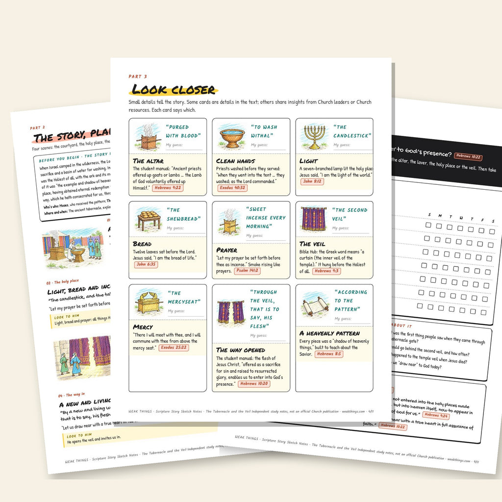 Three inside pages: the story, the detail cards and the seven-day tracker