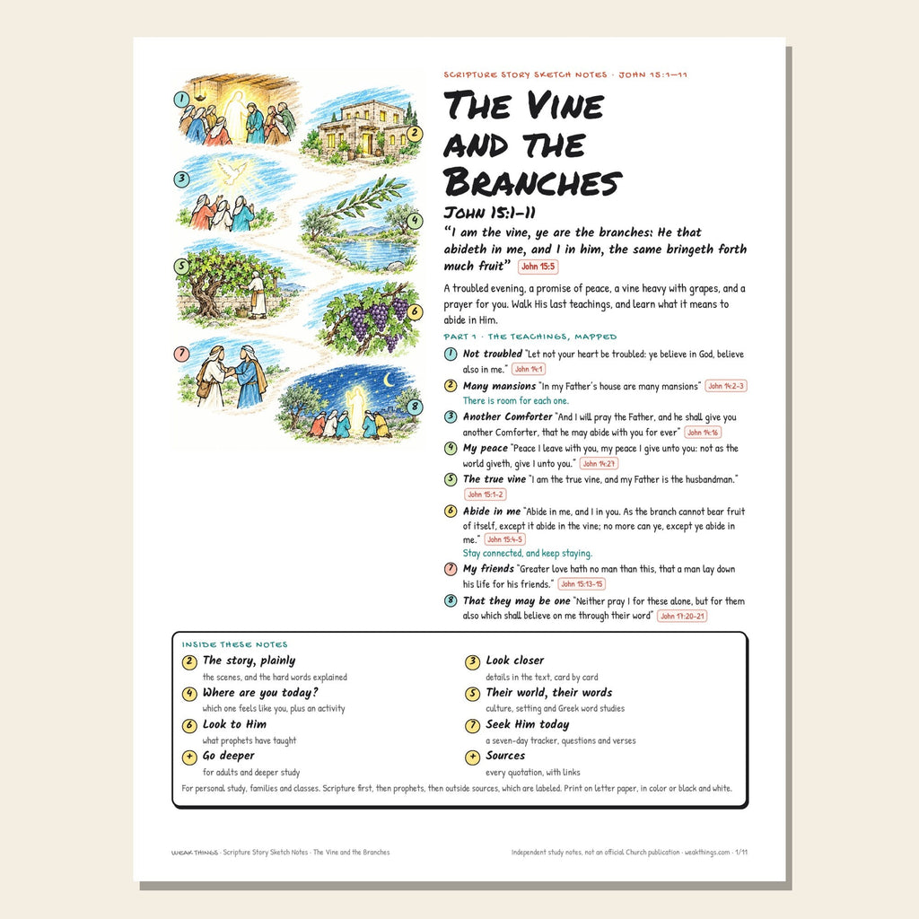 The Vine and the Branches sketch notes cover with a hand-drawn numbered map of the story
