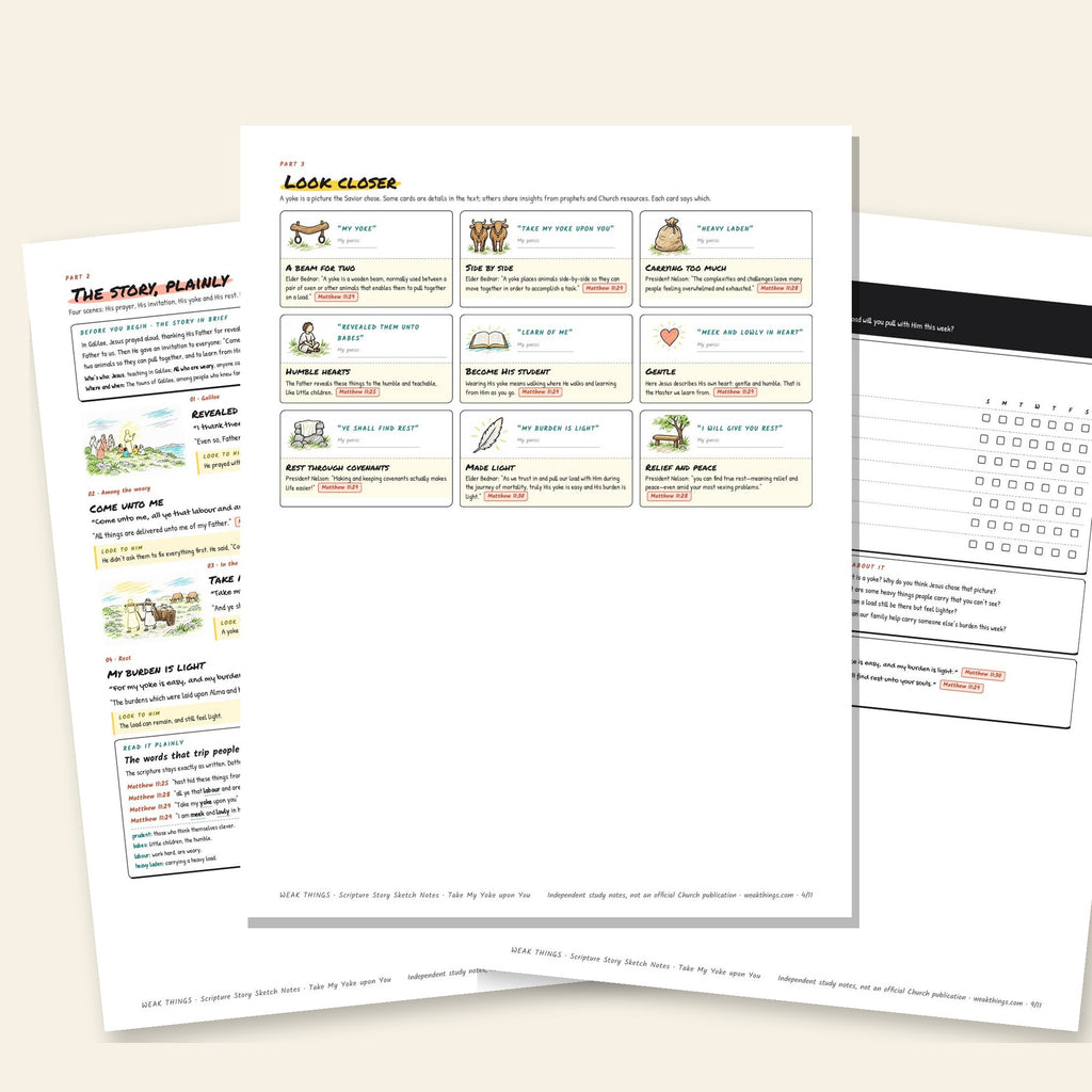 Three inside pages: the story, the detail cards and the seven-day tracker