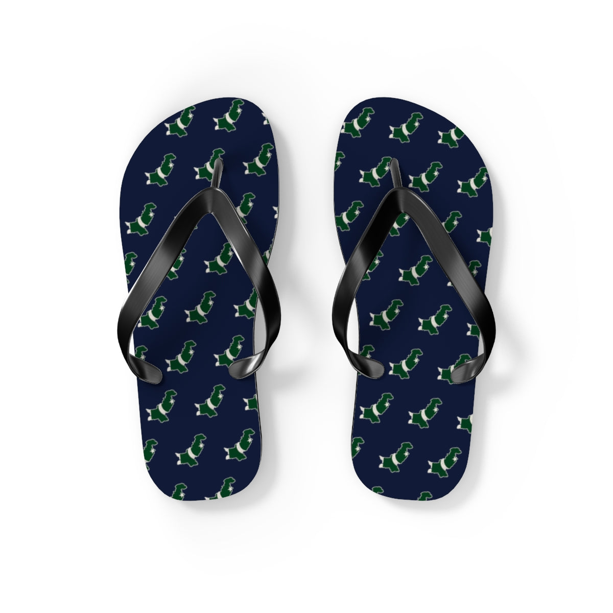 Pakistan Mission flag map flip flops by Weak Things view 2