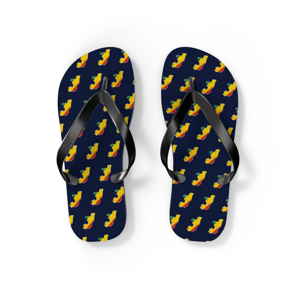 Republic of Congo Mission flag map flip flops by Weak Things view 2