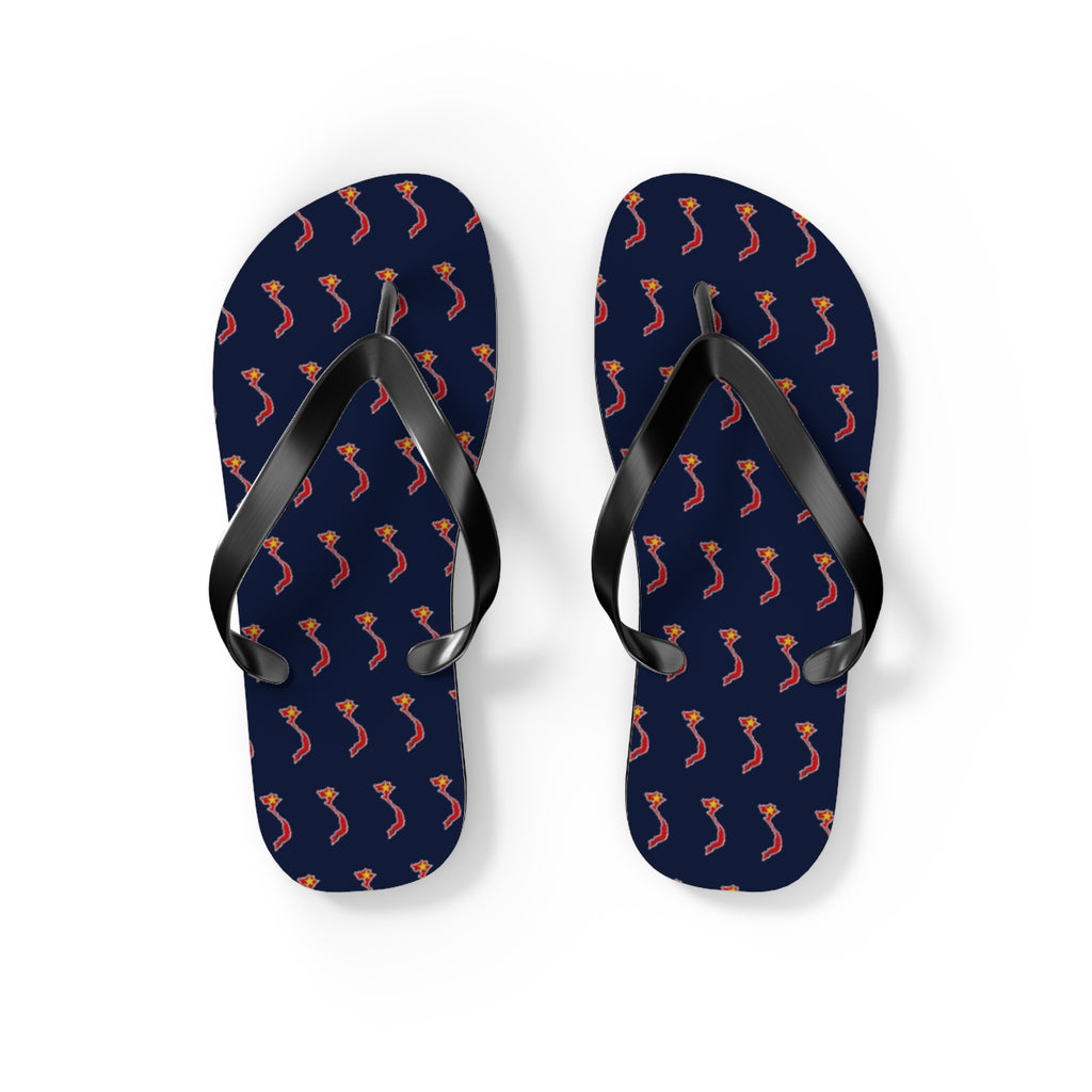 Vietnam Mission flag map flip flops by Weak Things view 2