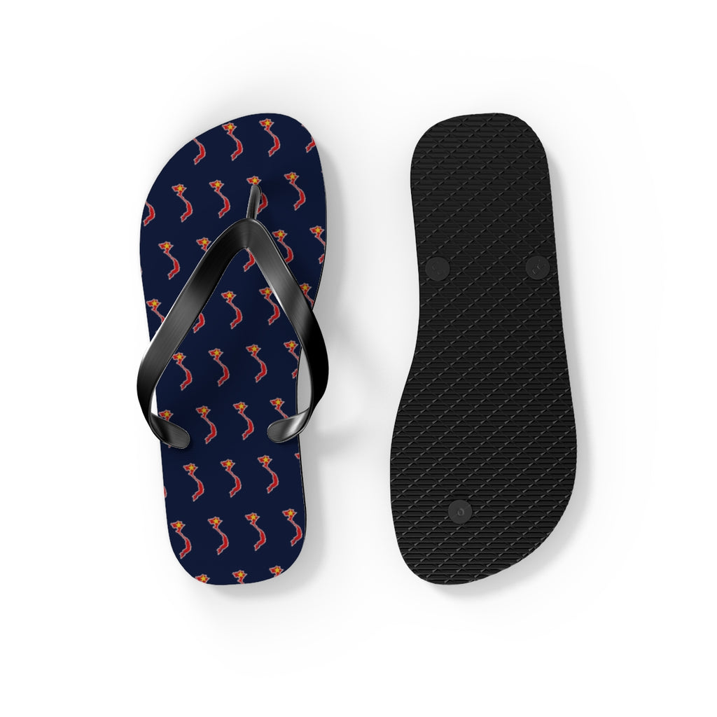 Vietnam Mission flag map flip flops by Weak Things view 4