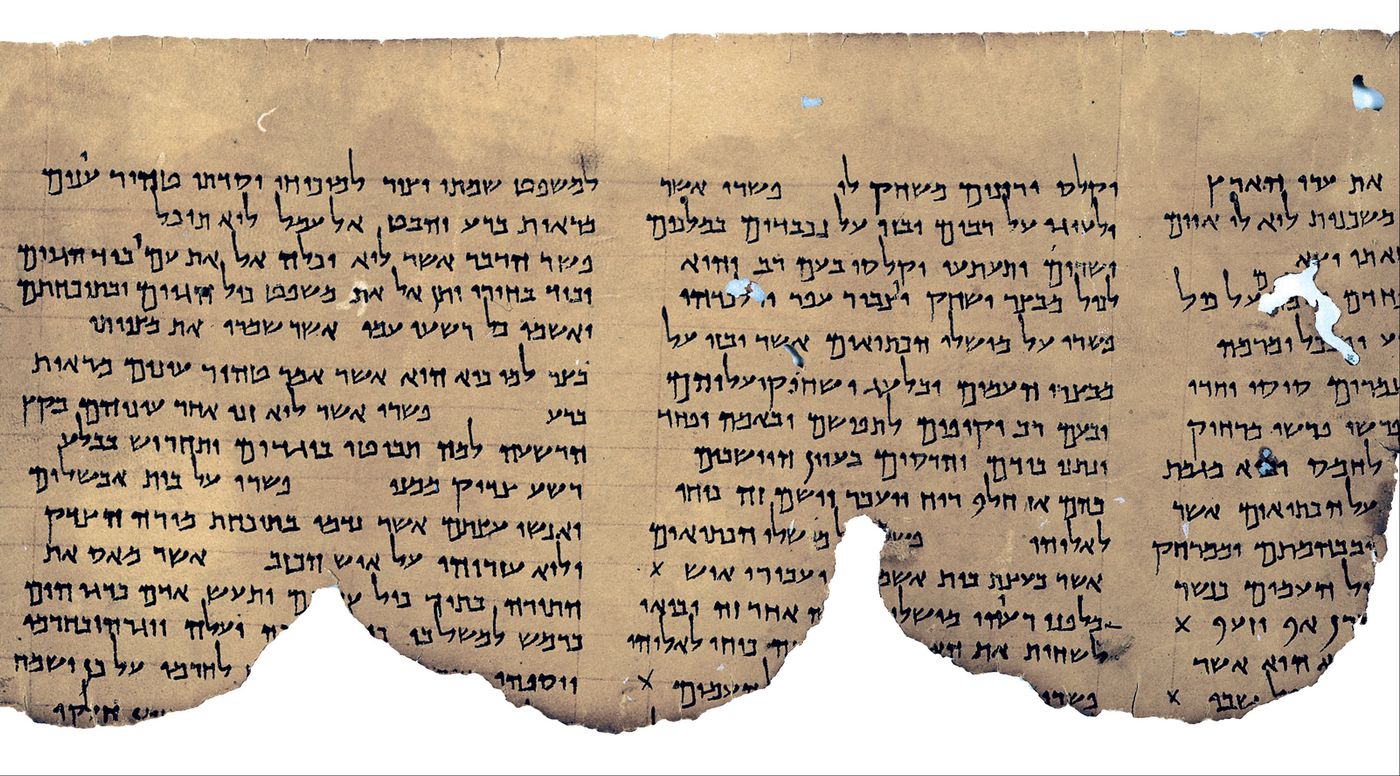 A long, light brown scroll with Hebrew columns and a ragged lower edge